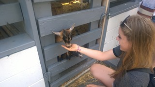 WP_20140712_15_03_26_Pro