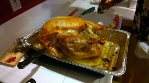 WP_20141127_16_35_42_Pro